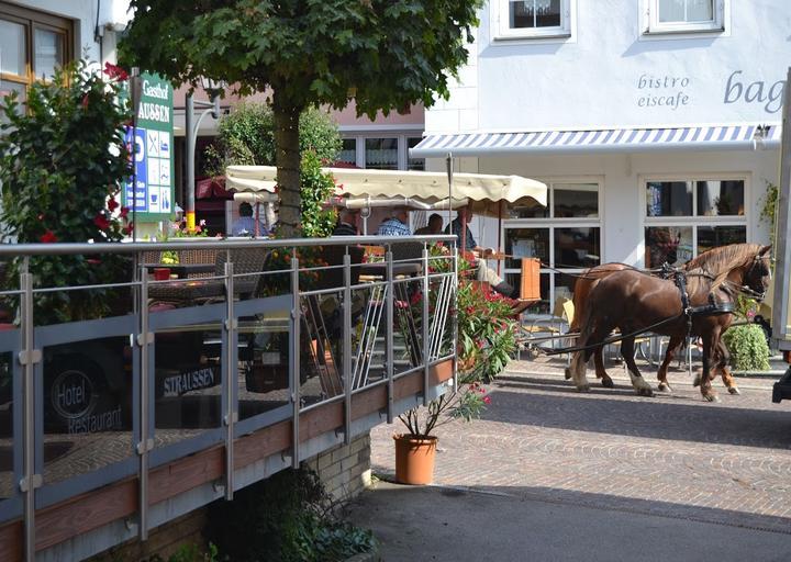 Hotel Restaurant Straussen